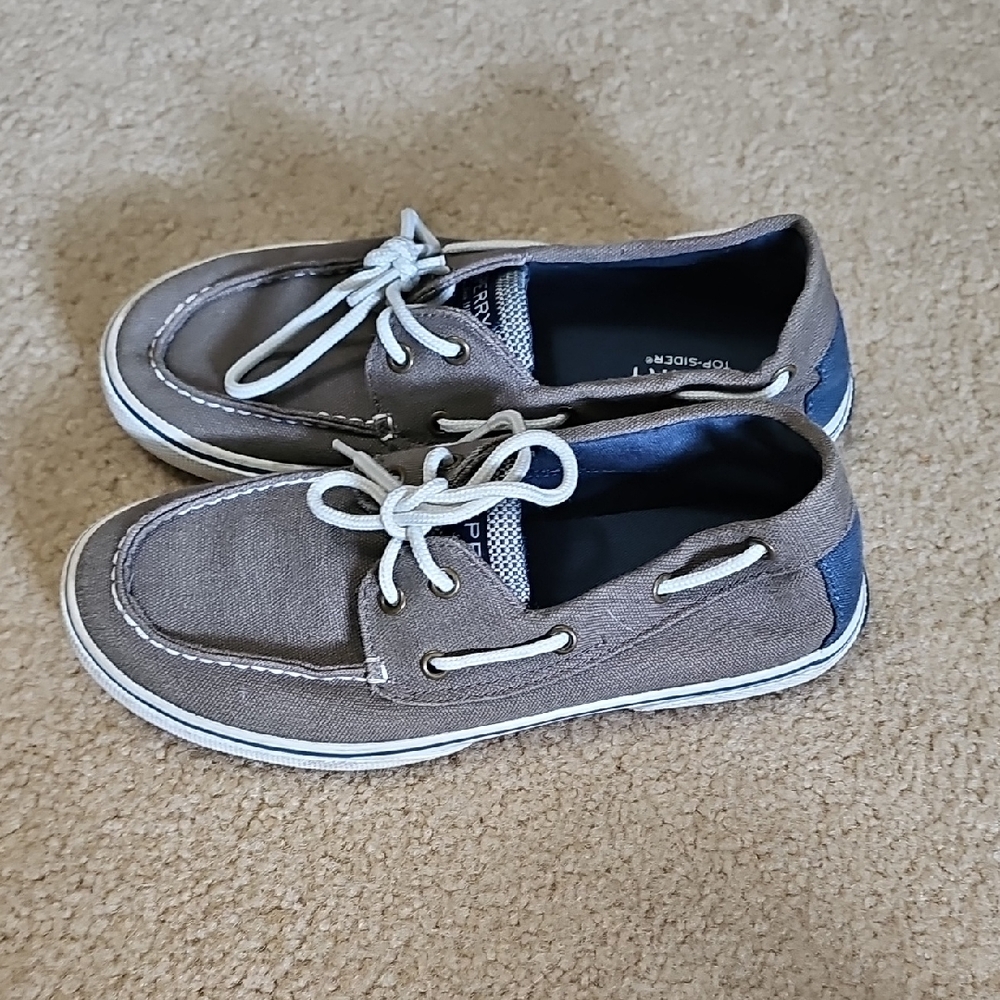 Sperry Brown and Blue Dress Shoes with Moccasin Toe